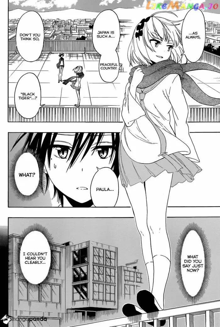 Nisekoi Chapter 79 image 03_optimized